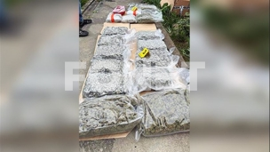 Nađeno 19 kilograma marihuane